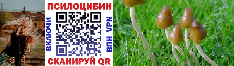 Купить закладки  Беломорск  Псилоцибиновые грибы мухоморы 