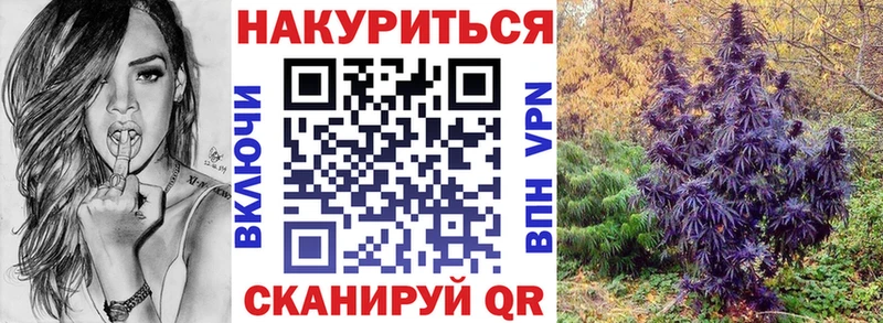 Купить где  Беломорск  Марихуана конопля 